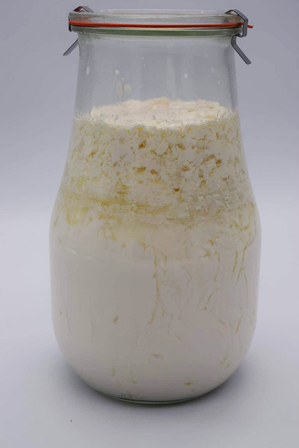 Kombipaket Japankristalle Wasserkefir Milchkefir Tibetanische Kefirknollen 3